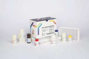HCV Ab / pishtaz teb / پیشتاز طب / کیت تشخیص طبی 